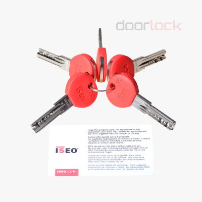 Цилиндровый механизм ISEO R65 NI 30хK30 мм никелированный, 5 ключей с пластиковыми колпачками