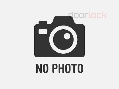 Порог автоматический врезной DL PROFILE 24/20